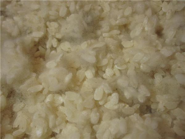 固態發酵3-5天