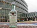 BACARDI百家得蘭姆酒