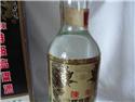第 7 張