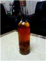 牛樟芝 保健身體