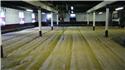 malt floor