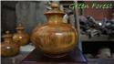 黃檜7號17-15公分2000 (1)