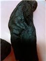 IMG_20140322_134804
