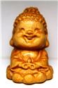 太行山系高海拔千年崖柏一釋迦牟尼佛