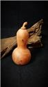 台灣山材龍柏（福氣瓜）聚寶盆 高１３寬６cm