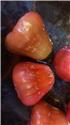 第 4 張