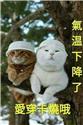第 2 張