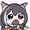 第 6 張