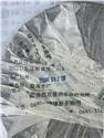 第 4 張