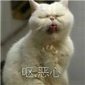 第 2 張