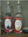 國父-2011/02/12 台灣-