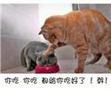 2012042505261261_2[1]