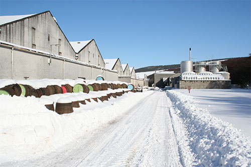 20131105_500_a2.jpg