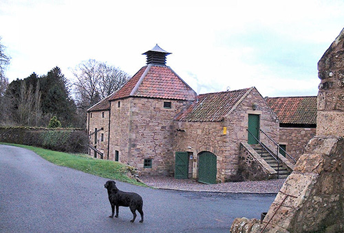 0424_Daftmill_2.jpg