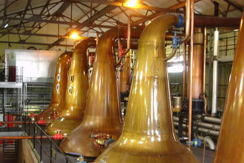 Cardhu-3.jpg