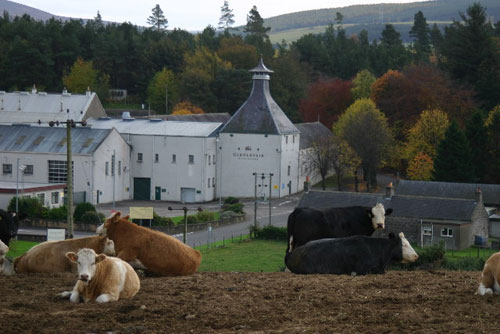 Glenlossie0824-2.jpg