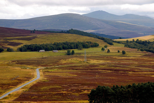 speyside1122-3.jpg