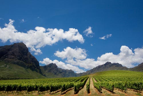 South-Africa_0731_10.jpg