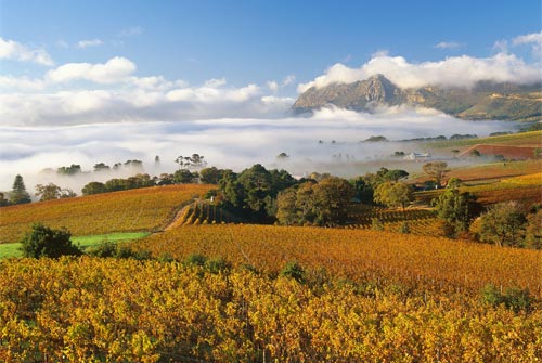South-Africa_0731_3.jpg