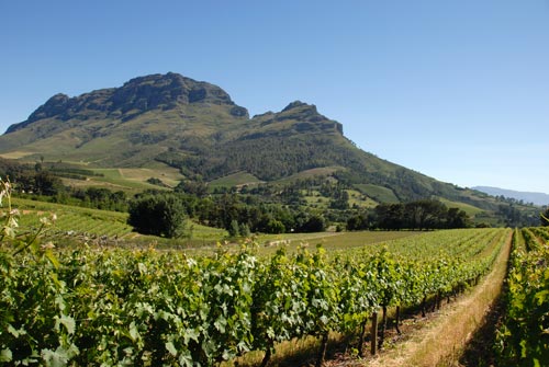 South-Africa_0731_8.jpg