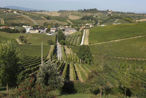 Tuscany_0620_1.jpg