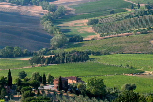 Tuscany_0620_4.jpg