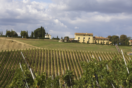 Tuscany_0620_8.jpg