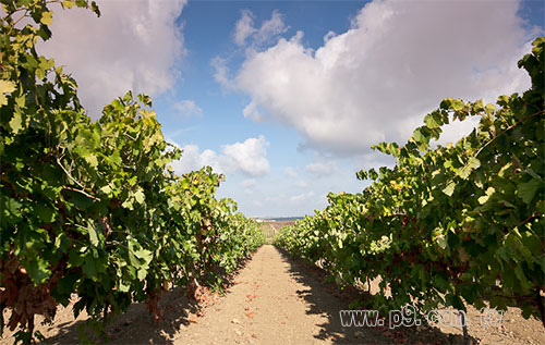 20131121_500m_4.jpg