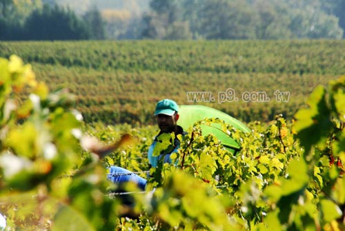 Bordeaux_U0131_3.jpg