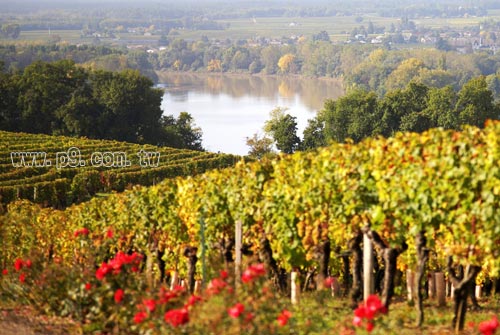 Bordeaux_U0201.jpg