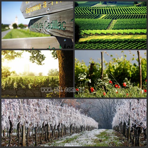 Bordeaux_U0201_8.jpg