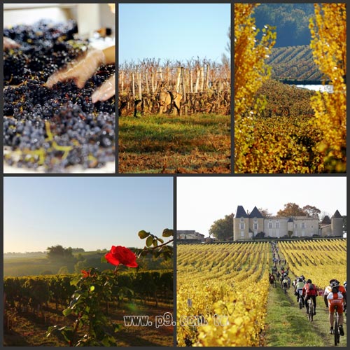 Bordeaux_U0201_9.jpg