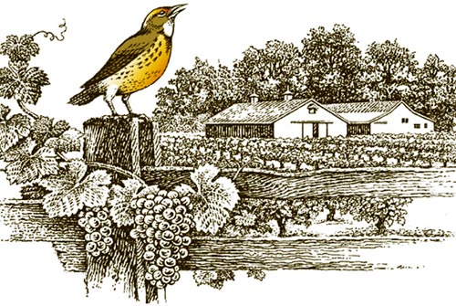 wine-label_0122_3.jpg