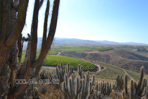 New-World_N_20140220_1.jpg