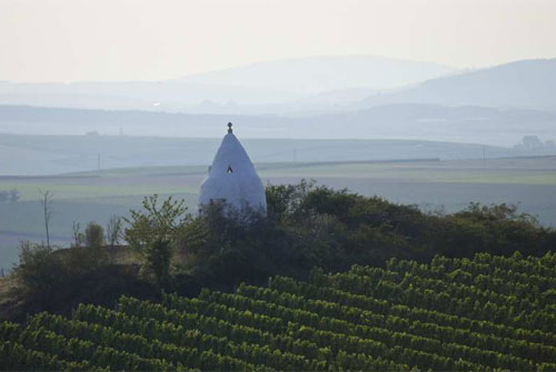 Zinfandel_0818_5.jpg