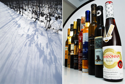 icewine_0830_9.jpg