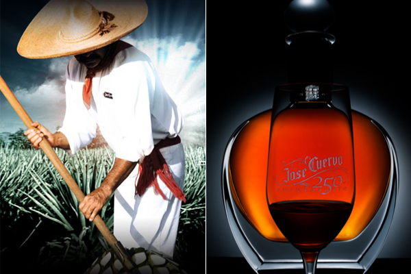 Jose-Cuervo-2501125.jpg