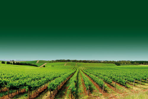 Rioja_0111_2.jpg