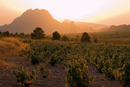 Rioja_0111_3.jpg