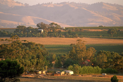 Shiraz_0107_8.jpg