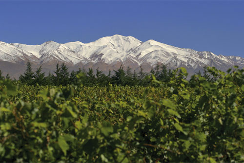 Malbec_0411_3.jpg