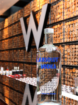 ABSOLUT_0530_4.jpg