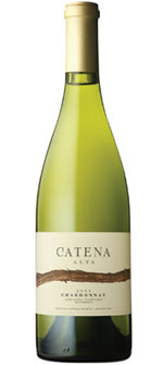 Catena_0503_4.jpg