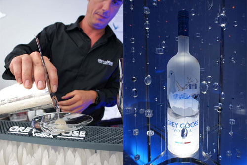 Grey-Goose_0520.jpg