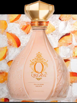 Qream_0719_2.jpg
