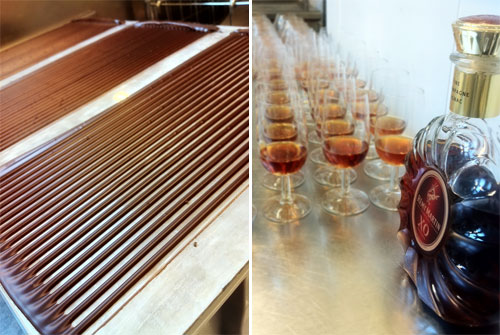 Remy-Martin_0928_3.jpg