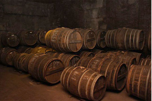 BNIC_1221_1.jpg
