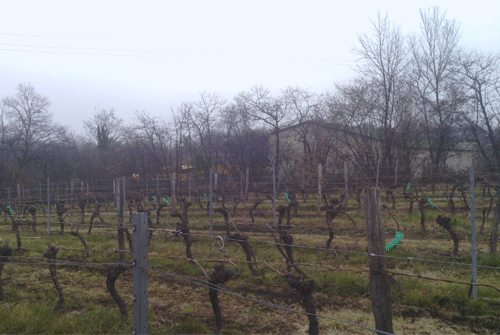 France_0504_7.gif