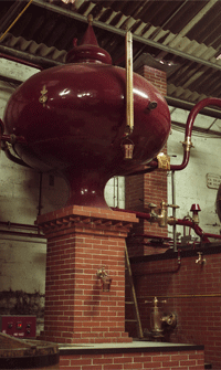 France_0504_9.gif