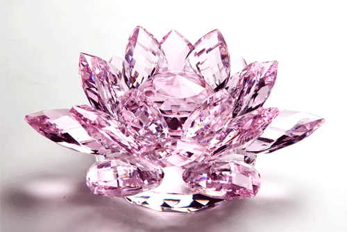 Lafer_0503_5.gif